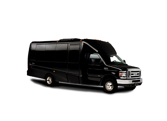 18 passenger party bus